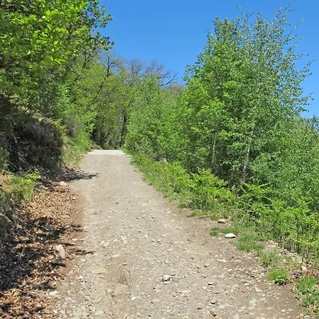 Locazione Turistica Baita Matilde - Mso300 *